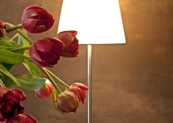 Western Metropoli فندق جنوة